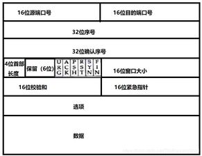 計算機網(wǎng)絡(luò)基礎(chǔ)知識簡答題