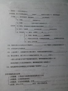 高中生物基礎知識填空題歸納