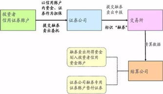 證券公司業(yè)務(wù)基礎(chǔ)知識(shí)