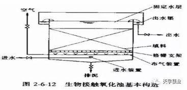 污水處理,基礎(chǔ)知識,測試題,城市