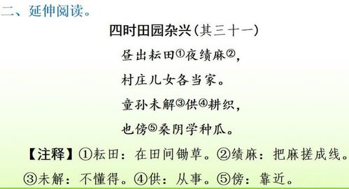 小學(xué)語(yǔ)文四年級(jí)基礎(chǔ)知識(shí)訓(xùn)練,小學(xué)語(yǔ)文四年級(jí)上冊(cè)的古詩(shī)詞,小學(xué)語(yǔ)文四年級(jí)上冊(cè)基礎(chǔ)知識(shí)匯總