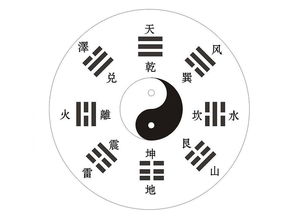 基礎(chǔ)知識(shí),ppt