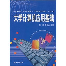 大學計算機應(yīng)用電腦基礎(chǔ)知識