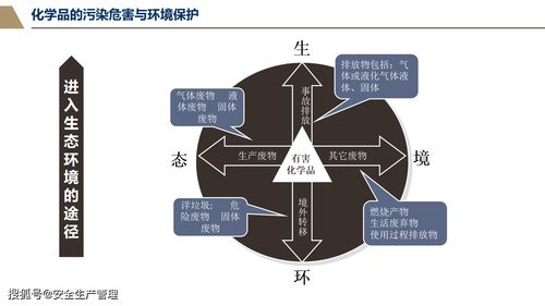 危險(xiǎn)化學(xué)品胡基礎(chǔ)知識(shí)