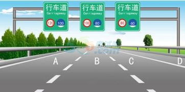 路通駕?？颇恳换A(chǔ)知識(shí)