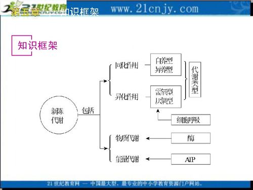 微生物基礎(chǔ)知識(shí)筆記,微生物基礎(chǔ)知識(shí)試題,微生物檢驗(yàn)基礎(chǔ)知識(shí)