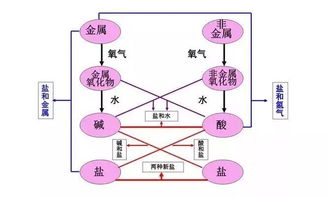 注重基礎知識的積累,注重基礎知識的教學,如何注重學生對基礎知識的理解和掌握