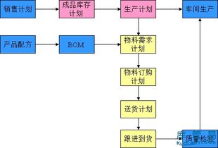 題庫,基礎(chǔ)知識(shí),崗位,管理