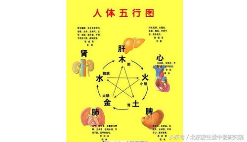 中醫(yī)藥基礎(chǔ)知識陰陽五行學(xué)說