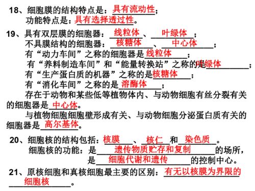 高一生物基礎(chǔ)知識(shí)背誦清單