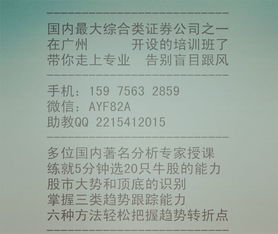 股票基礎(chǔ)知識(shí)書(shū)籍txt