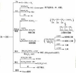 高中有機(jī)化學(xué)基礎(chǔ)知識(shí),有機(jī)化學(xué)實(shí)驗(yàn)基礎(chǔ)知識(shí),有機(jī)化學(xué)基礎(chǔ)知識(shí)整理