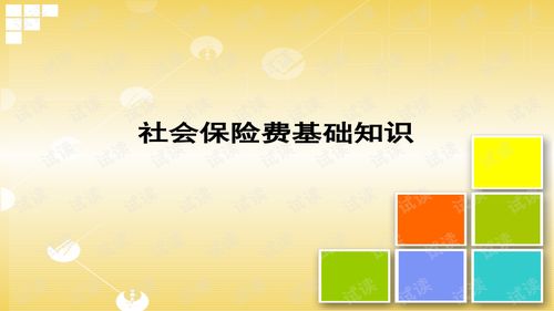 紀(jì)檢基礎(chǔ)知識ppt