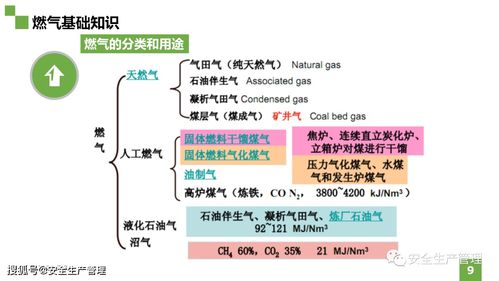 地震應(yīng)急救援基礎(chǔ)知識(shí),應(yīng)急救援基礎(chǔ)知識(shí)試題,應(yīng)急救援基礎(chǔ)知識(shí)書籍