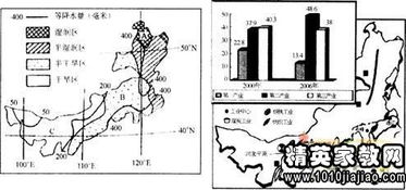 基礎知識,煤礦,理論,組織