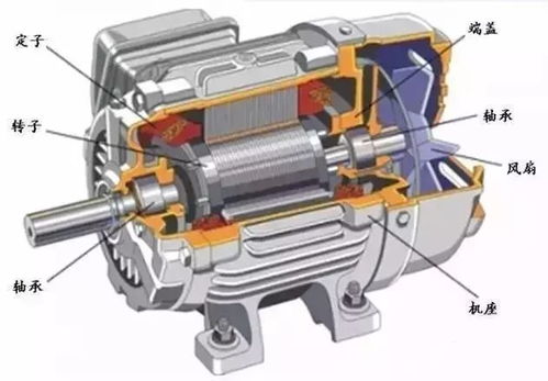 ye3電機基礎知識培訓