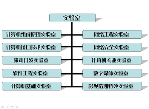 計算機專業(yè)軟件基礎(chǔ)知識