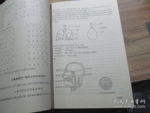 歷屆南藝音樂基礎知識