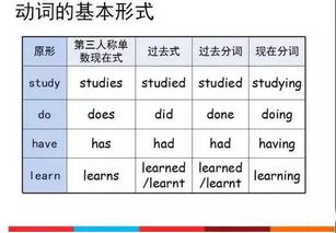 英語四級語法基礎(chǔ)知識大全,初中語文語法基礎(chǔ)知識大全,語文語法基礎(chǔ)知識大全