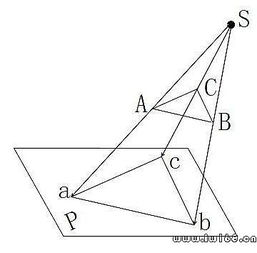 基礎(chǔ)知識(shí),投影