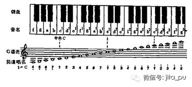 樂譜基礎知識低音