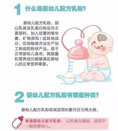 嬰幼兒配方乳粉基礎(chǔ)知識