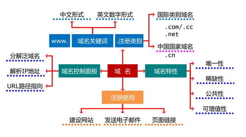 初中網(wǎng)絡(luò)基礎(chǔ)知識