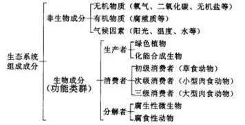 生物系統(tǒng)的營養(yǎng)結(jié)構(gòu)基礎(chǔ)知識