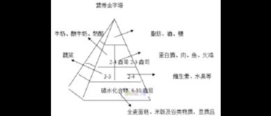 尊巴健身基礎(chǔ)理論知識