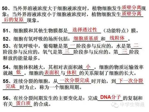 喜來(lái)健基礎(chǔ)知識(shí)答案