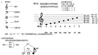 音樂基礎知識初級怎樣識譜