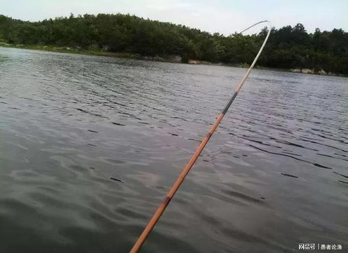 釣魚,基礎(chǔ)知識