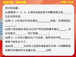 關(guān)于專題性總結(jié)的基礎(chǔ)知識(shí)