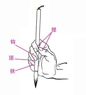 毛筆書法基礎(chǔ)知識(shí)微盤