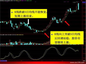 均線圖基礎知識講解